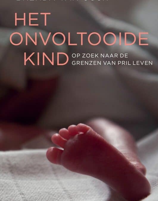 Het onvoltooide kind