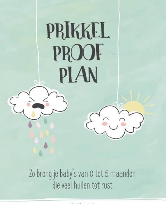 Prikkel Proof Plan